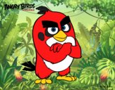 Red de Angry Birds