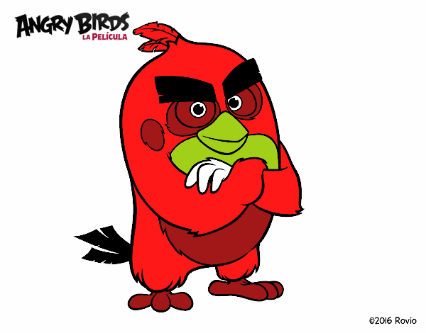 Red de Angry Birds