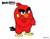 Red de Angry Birds