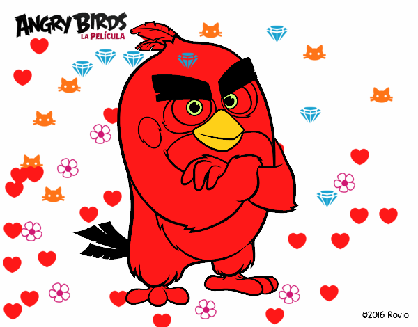 Red de Angry Birds