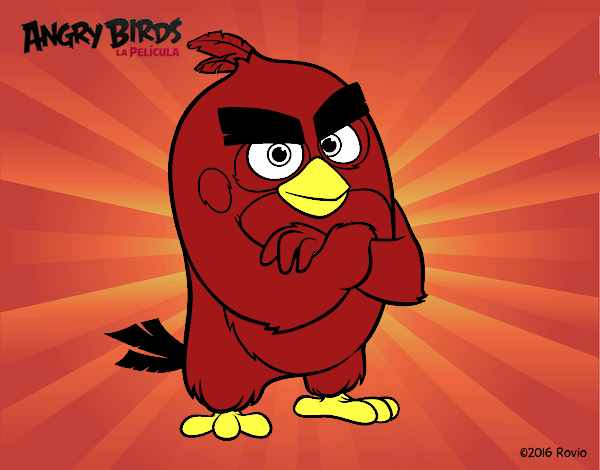 Red de Angry Birds