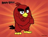 Red de Angry Birds