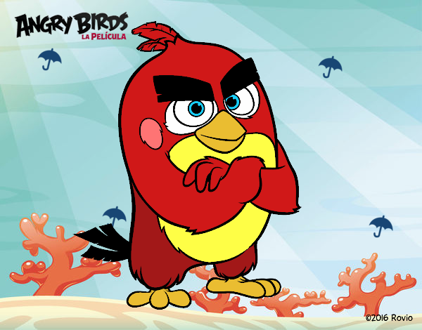 Red de Angry Birds