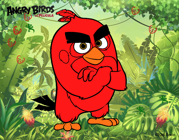 Red de Angry Birds