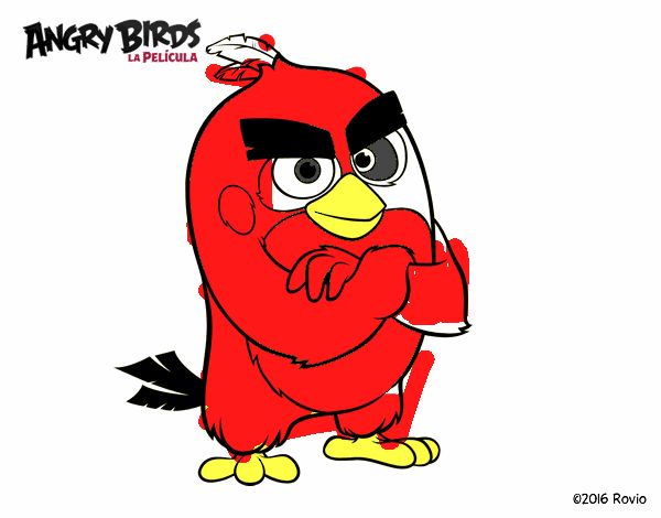 Red de Angry Birds