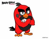 Red de Angry Birds