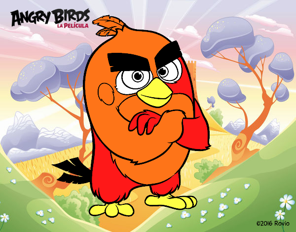 Red de Angry Birds