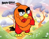 Red de Angry Birds