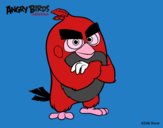 Red de Angry Birds