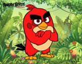 Red de Angry Birds