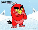 Red de Angry Birds