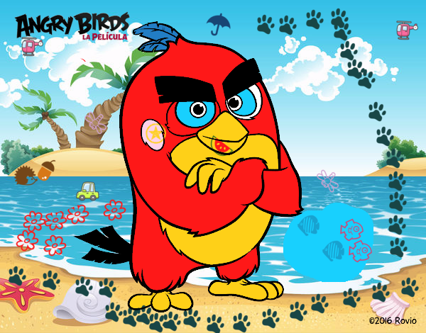 Red de Angry Birds