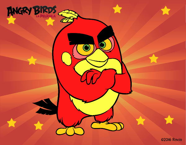 Red de Angry Birds