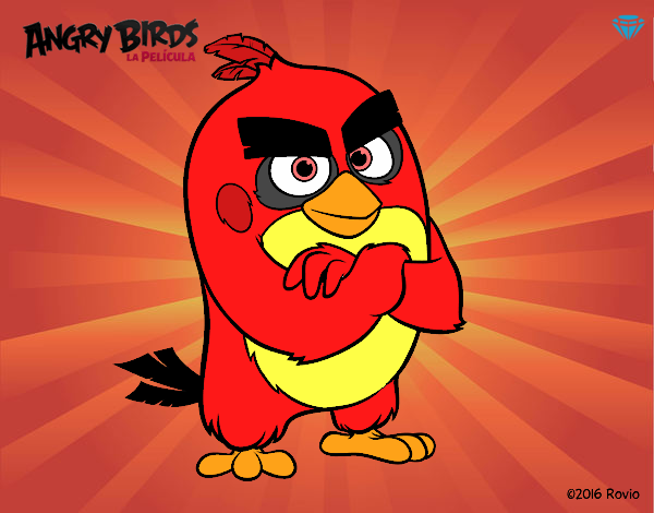 red angry birds