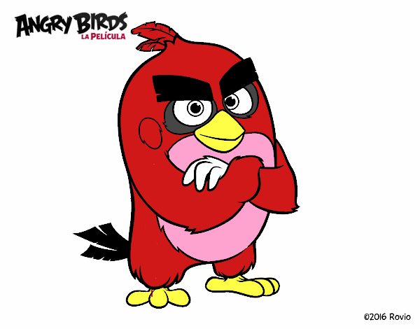 Red de Angry Birds