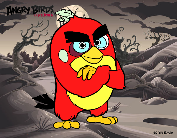 Red de Angry Birds