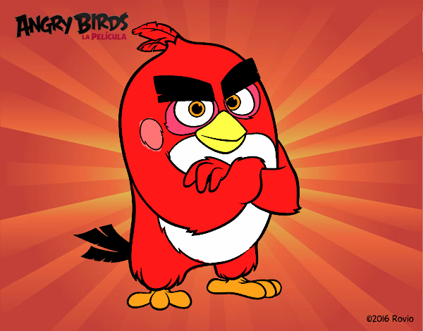 Red de Angry Birds