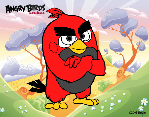 Red de Angry Birds