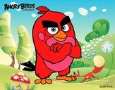 Red de Angry Birds