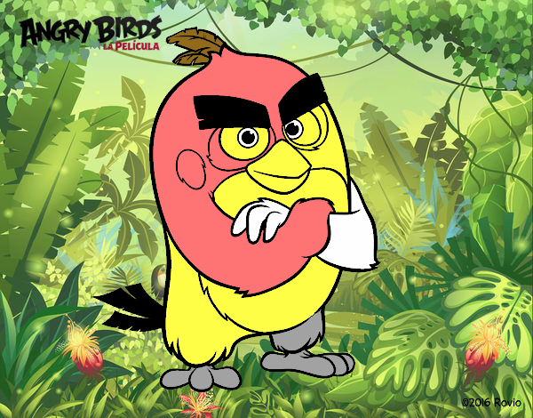 Red de Angry Birds