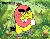 Red de Angry Birds