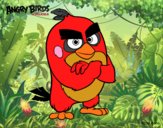 Red de Angry Birds