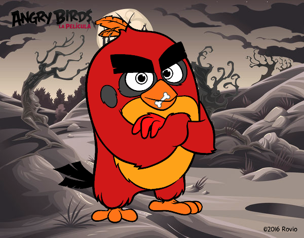 Red de Angry Birds