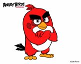 Red de Angry Birds