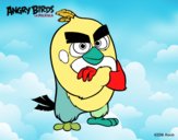 Red de Angry Birds