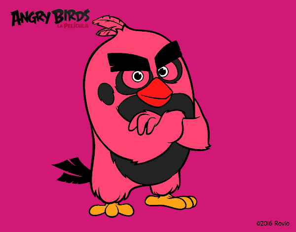 Red de Angry Birds