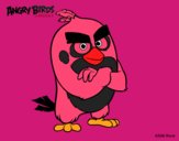 Red de Angry Birds