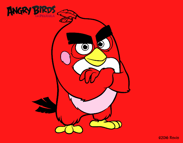 Red de Angry Birds