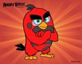 Red de Angry Birds