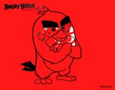 Red de Angry Birds