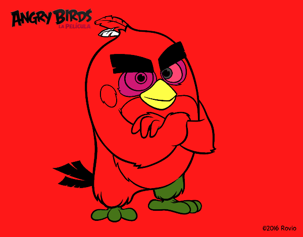 Red de Angry Birds