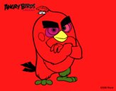 Red de Angry Birds