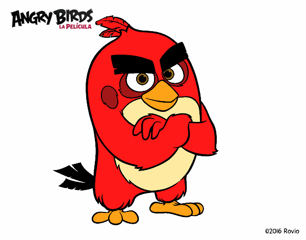 Red de Angry Birds