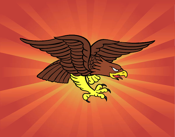 aguila