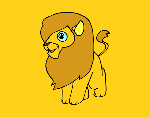 Un león