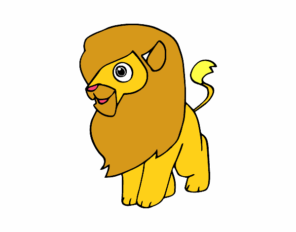 Un león