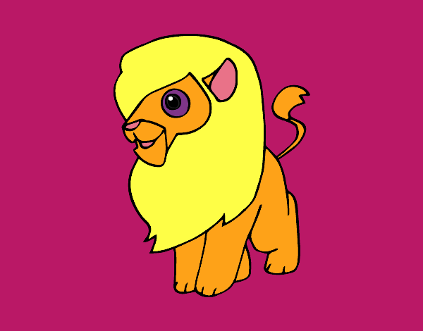 Un león