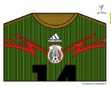 Camiseta del mundial de fútbol 2014 de México