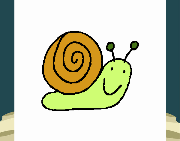 Caracol 4