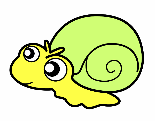 Caracol bebé