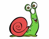 Caracol feliz