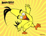 Dibujo Chuck de Angry Birds pintado por fernon