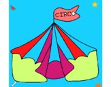 Circo