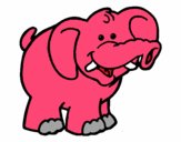 Elefante 6