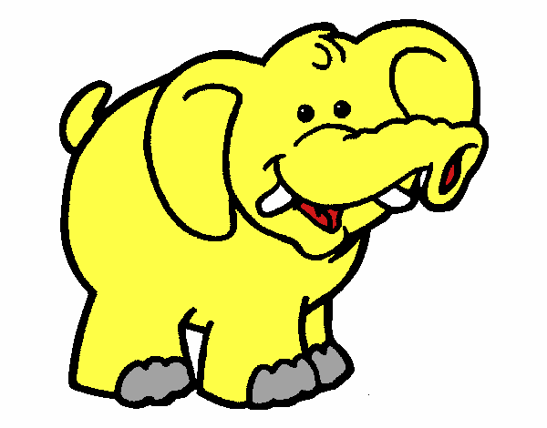 Elefante 6