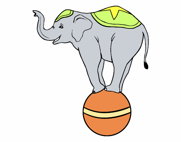 Elefante equilibrista